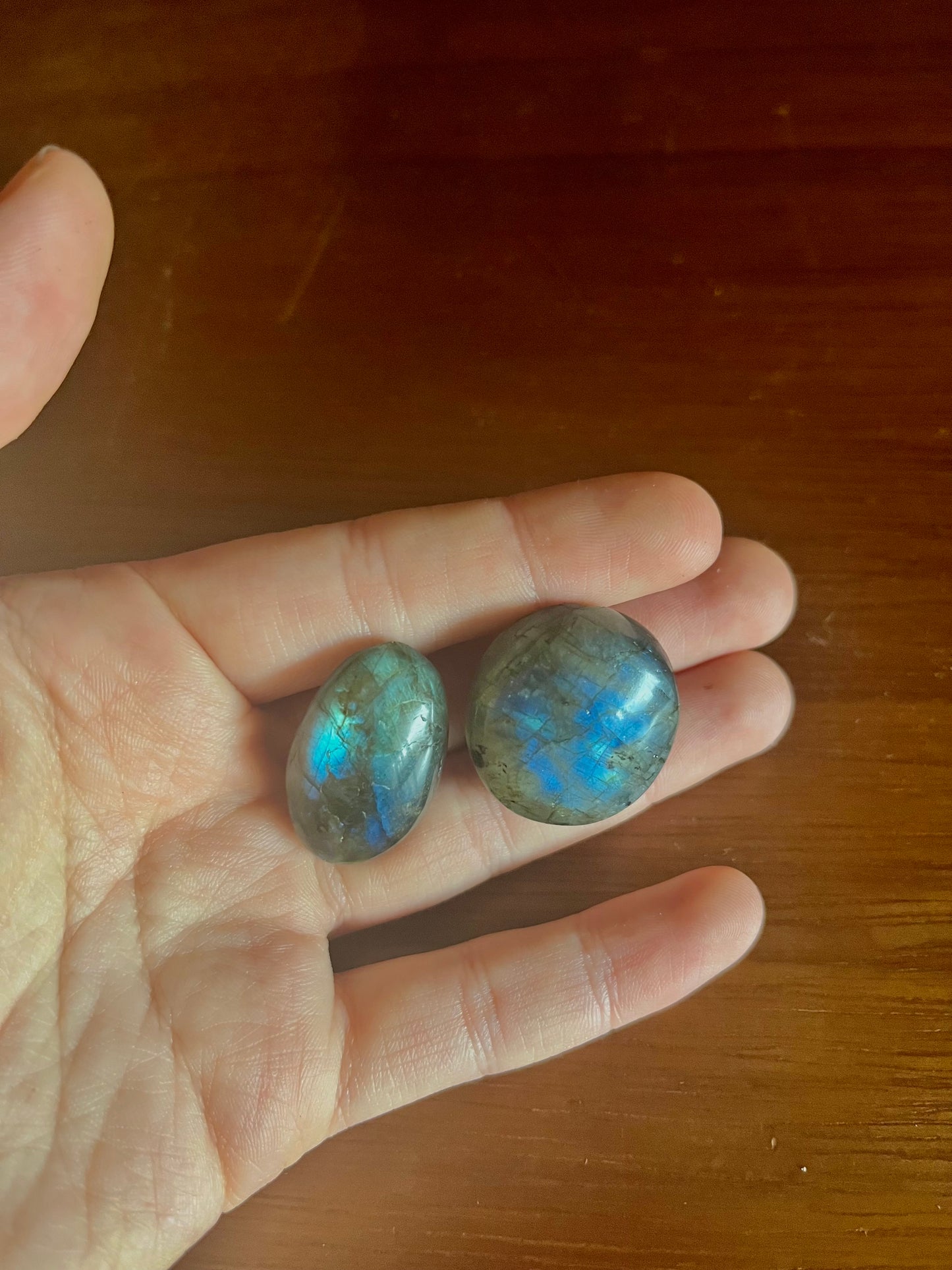 Deux pierres labradorite dans une main. Elles présentes de magnifiques reflets bleus et turquoise derrière la couche de pierre grise. 