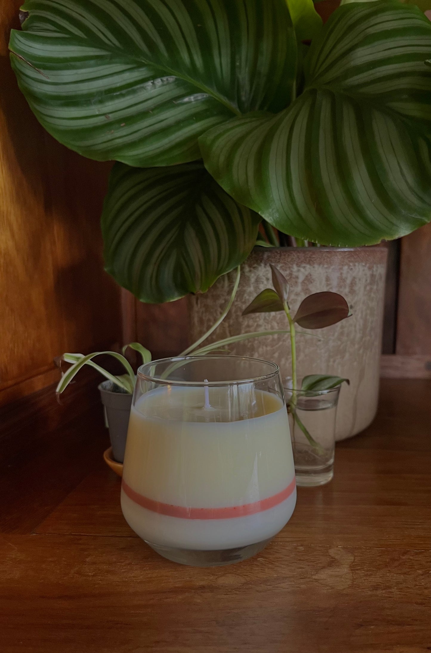 Bougie avec une Jaspe rouge de l marque Playsir. Posé dans la décoration intérieur. au dernier plan on peut voir des plantes. La bougies est fabriquée en cire de soja, on peut apercevoir une bande coloré là ou la pierre semi-précieuse est situé. 